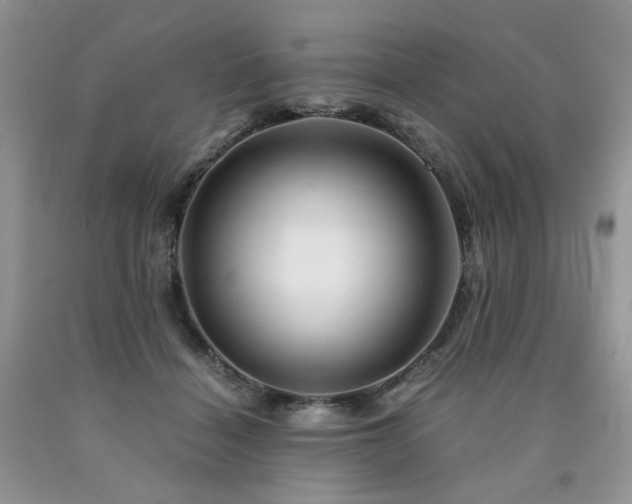 X0000090760460200707201507