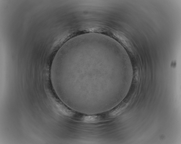 X0000090760461200707201507