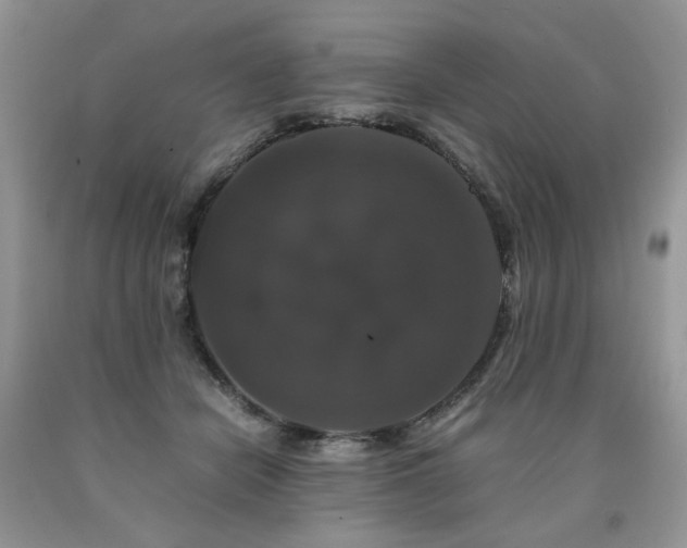 X0000090760462200707201507