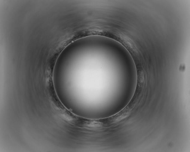 X0000090760463200707201507