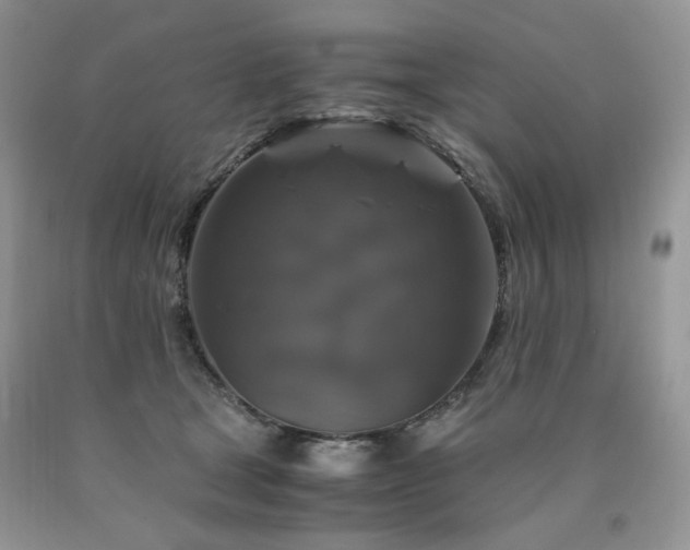 X0000090760465200707201507