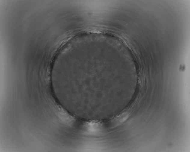 X0000090760466200707201507