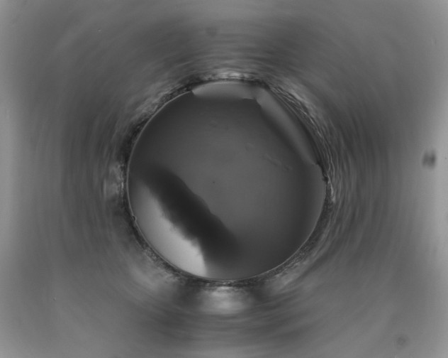 X0000090760467200707201507