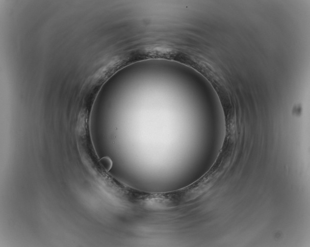 X0000090760468200707201507