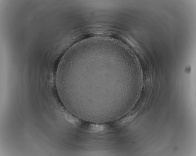 X0000090760469200707201507