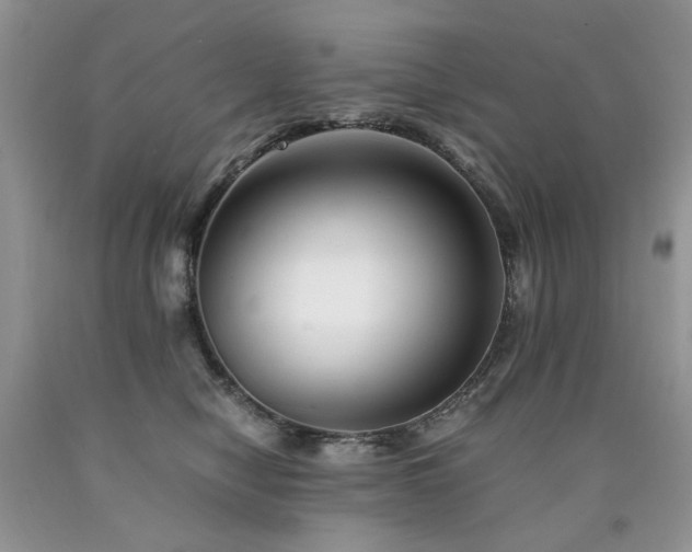 X0000090760470200707201507