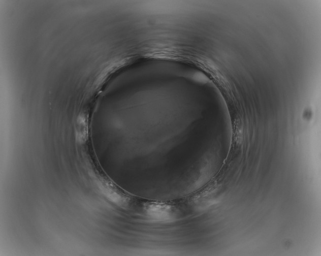 X0000090760471200707201507