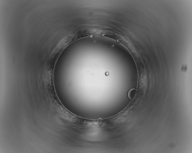 X0000090760473200707201507