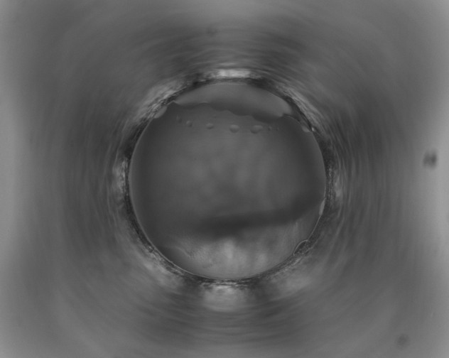 X0000090760475200707201507