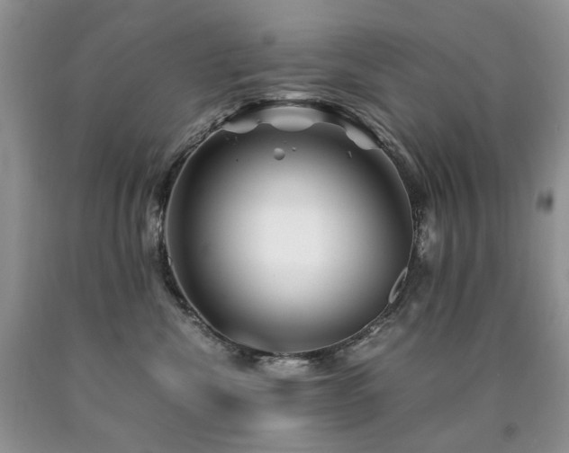 X0000090760476200707201507