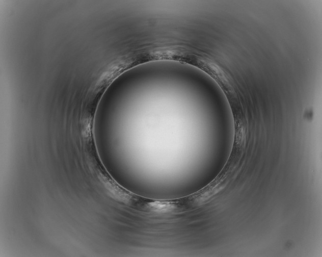 X0000090760477200707201507