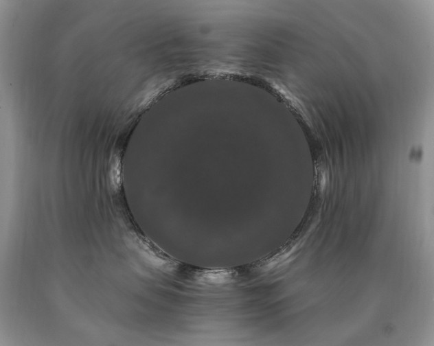 X0000090760479200707201507