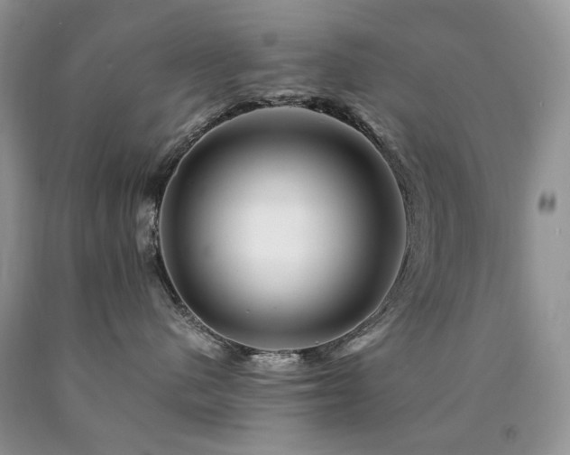 X0000090760480200707201507