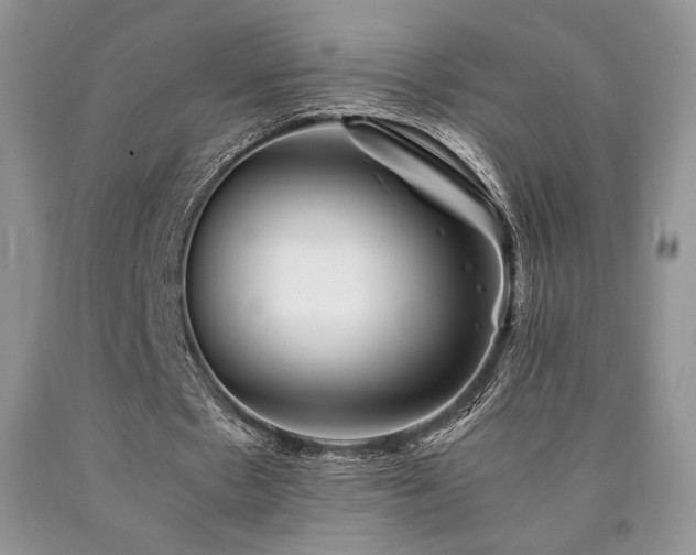 X0000090760481200707201506