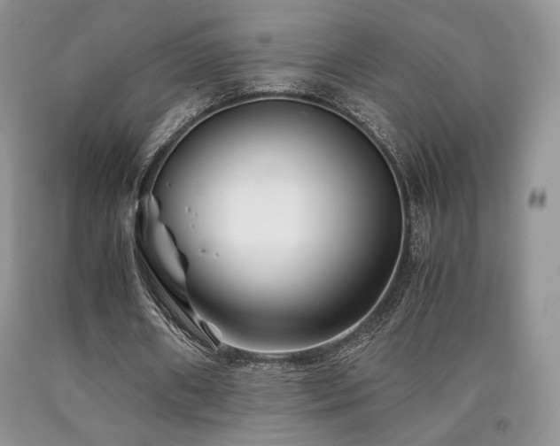 X0000090760482200707201506