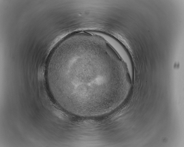 X0000090760483200707201506