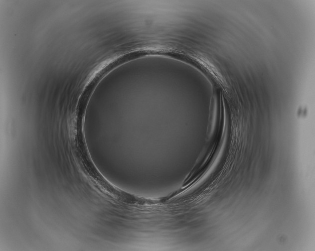 X0000090760484200707201506