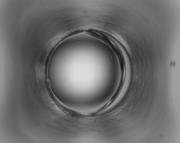 X0000090760485200707201506