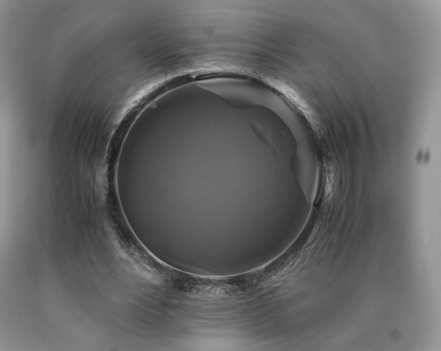 X0000090760488200707201506