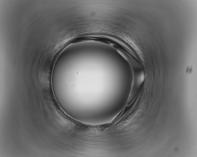 X0000090760489200707201506