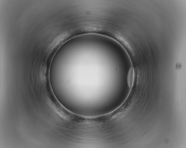 X0000090760490200707201506