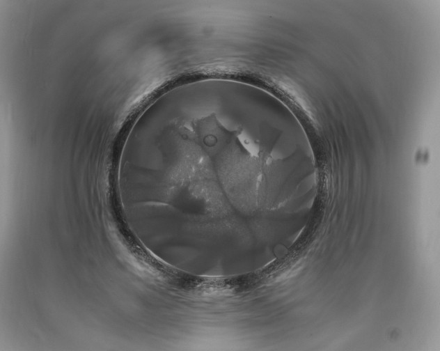 X0000090760491200707201506