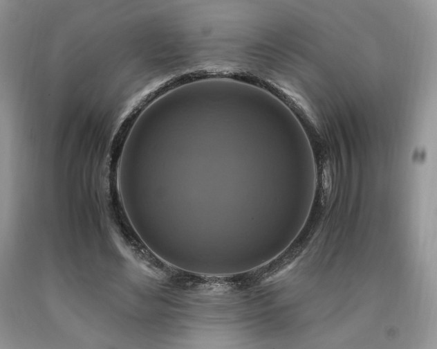 X0000090760492200707201506