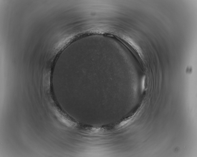 X0000090760493200707201506