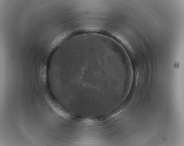 X0000090760494200707201506