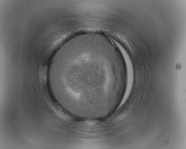 X0000090760495200707201506