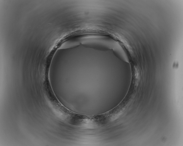 X0000090760496200707201506