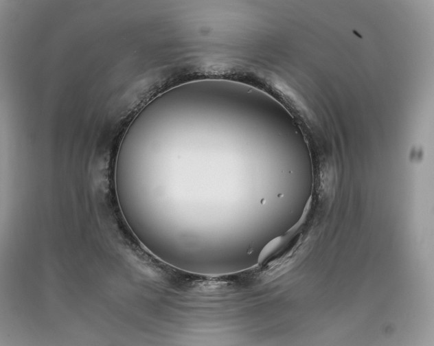 X0000090760497200707201506