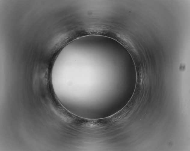 X0000090760498200707201506