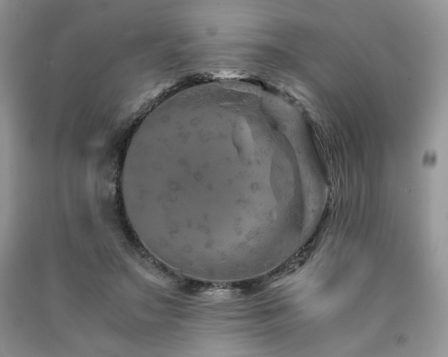 X0000090760499200707201506