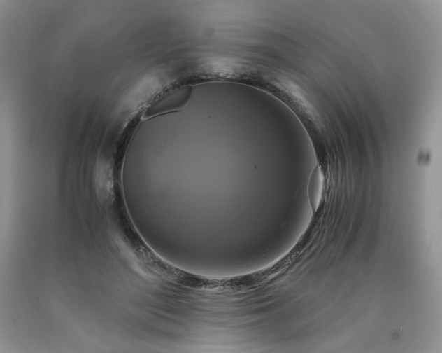 X0000090760500200707201506