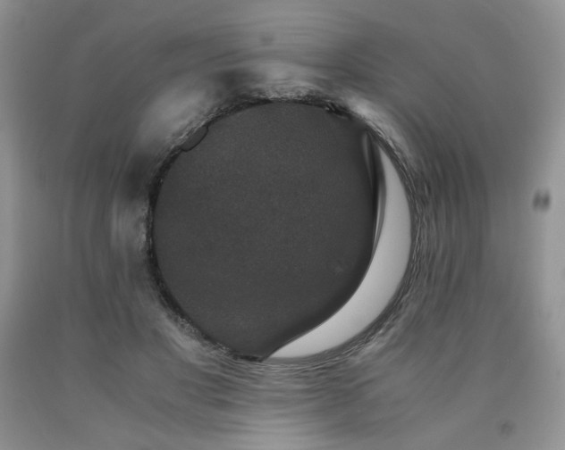 X0000090760501200707201506