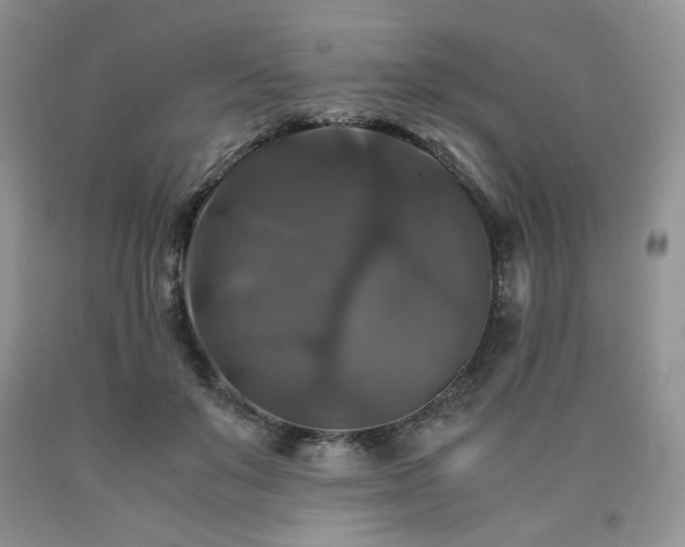 X0000090760503200707201506