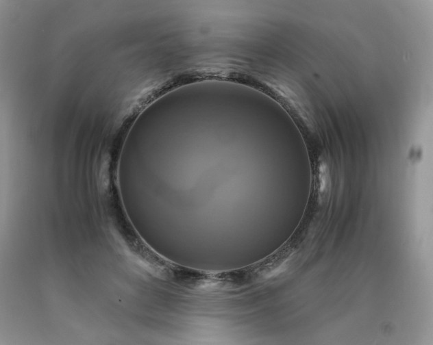 X0000090760504200707201506