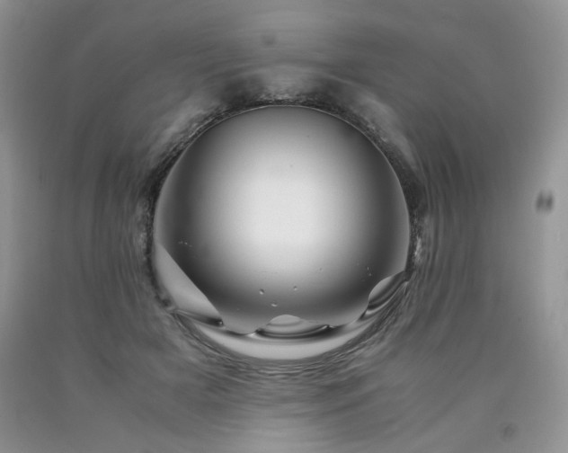 X0000090760505200707201506