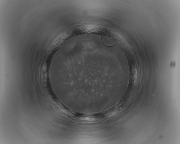 X0000090760506200707201506