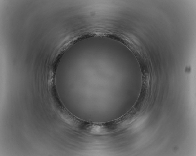 X0000090760507200707201506