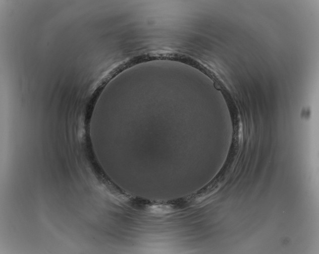 X0000090760508200707201506