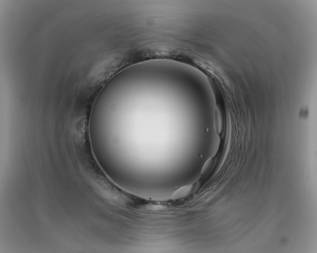 X0000090760509200707201506