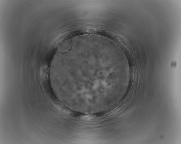 X0000090760511200707201506