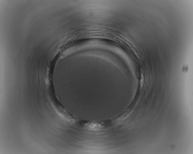 X0000090760512200707201506