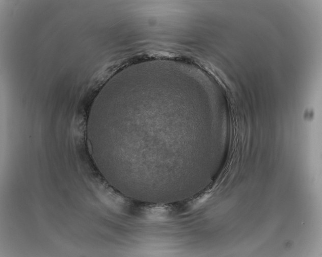 X0000090760513200707201506