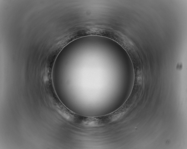 X0000090760514200707201506