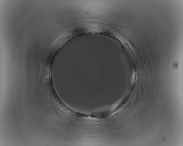 X0000090760517200707201506