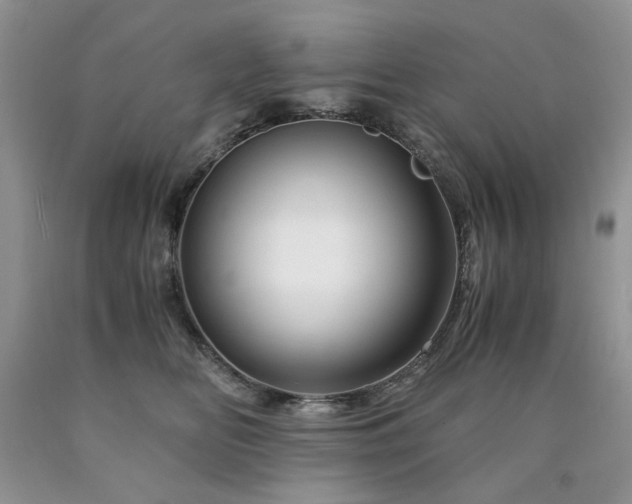 X0000090760518200707201506