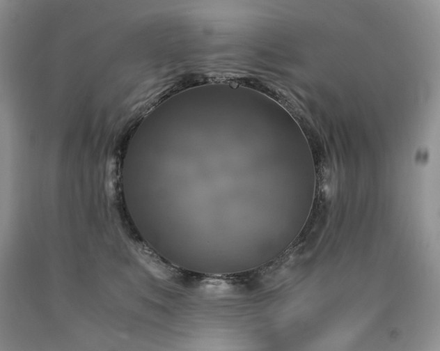 X0000090760519200707201506